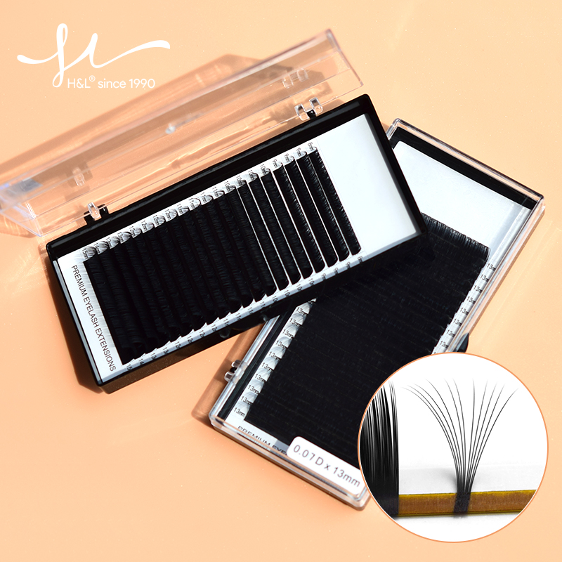 H&L SINCE 1990 20Rows Faux Ind - Eyelash Extension Natural Classic 评论和价格